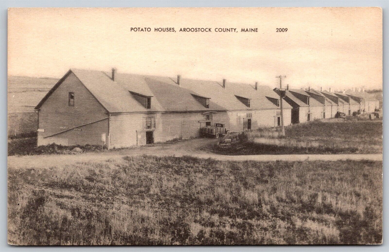 Postcard Potato Houses, Aroostook County, Maine P158