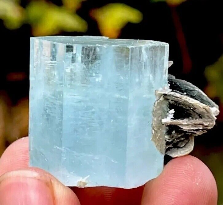 285 Carat Blue Aquamarine Crystal With Muscovite Combine @ Mineral Specimens