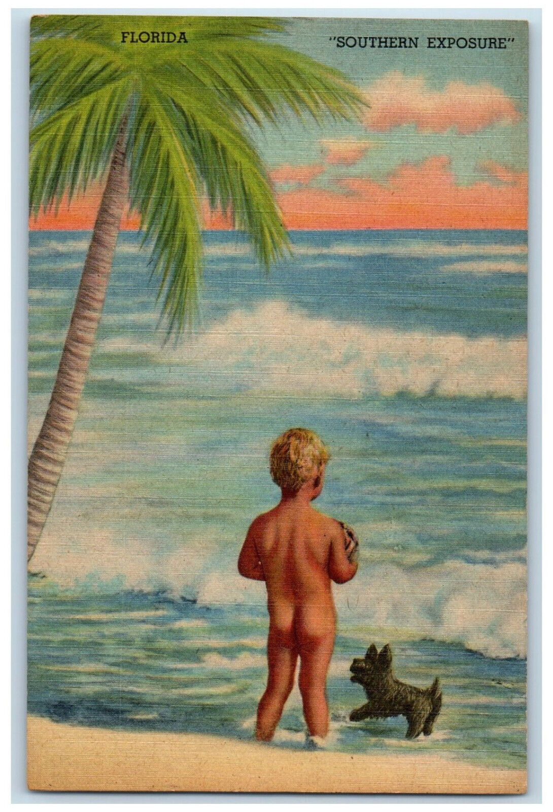 c1940's Kid Naked Dog,Wavy Beach Tree Southern Exposure Florida Antique Postcard