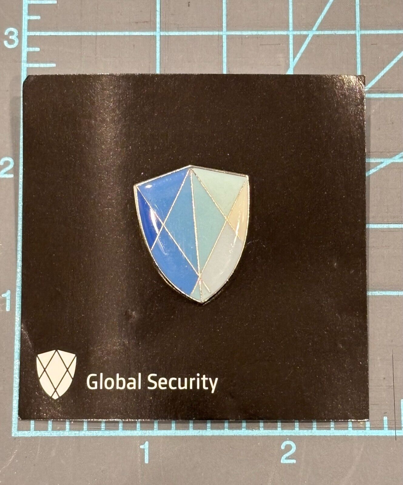 Global Security ~ Meta ~ Facebook ~ Instagram ~ Pin ICAC Computer Crimes    RARE