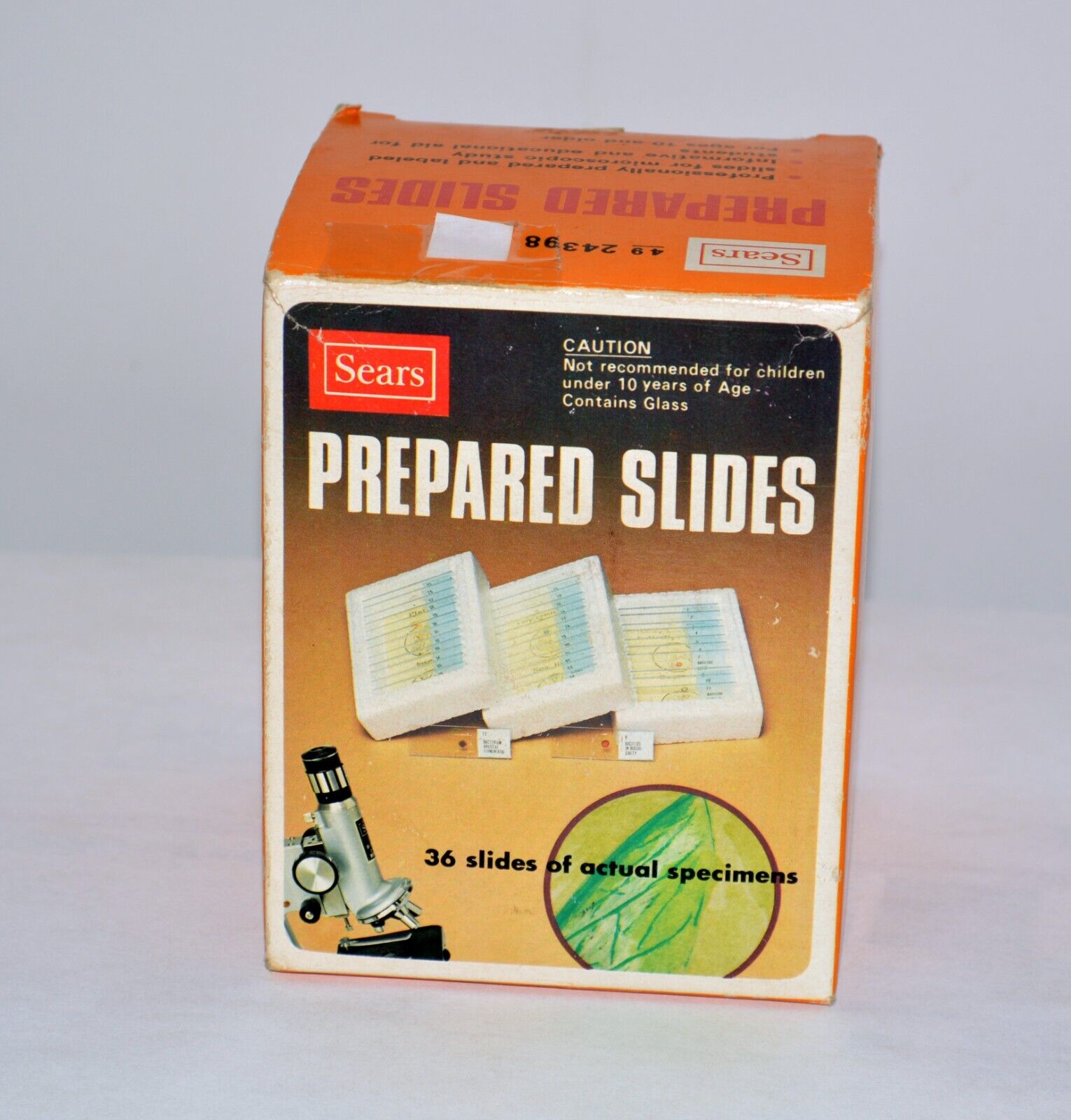 Sears 36 Prepared Slides #4924398 Insects Plants Sea Life Bee Butterfly Bacteria
