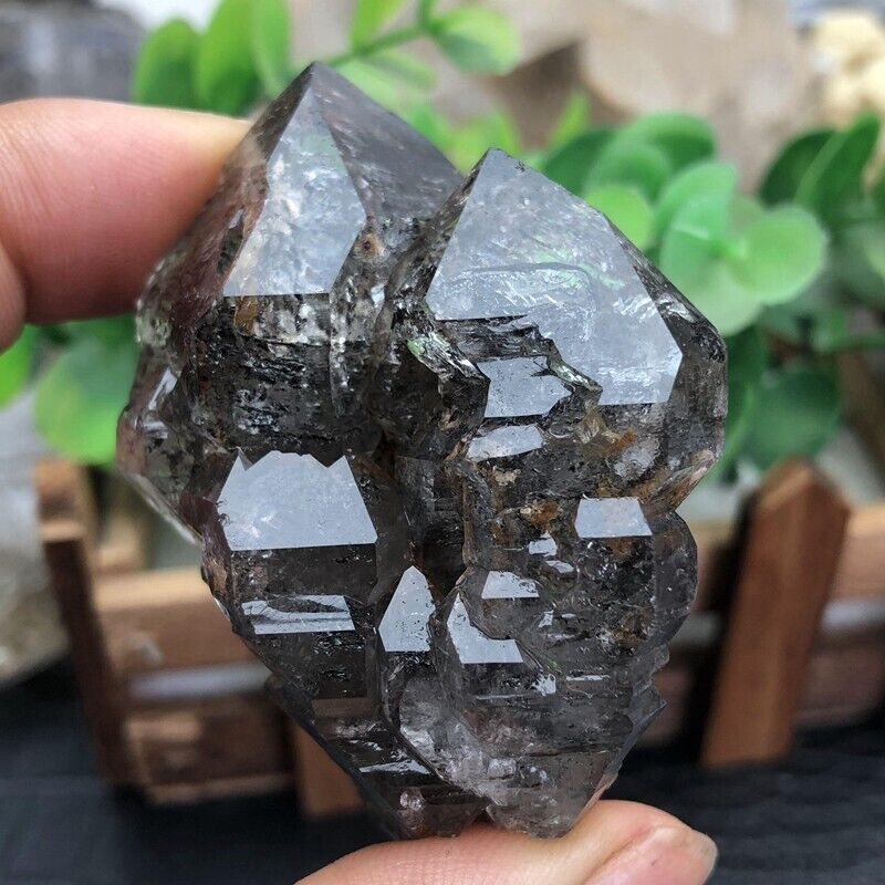 TOP Rare Natural Clear Herkimer Diamond Graphite fireworkWrap yellow mud Crystal