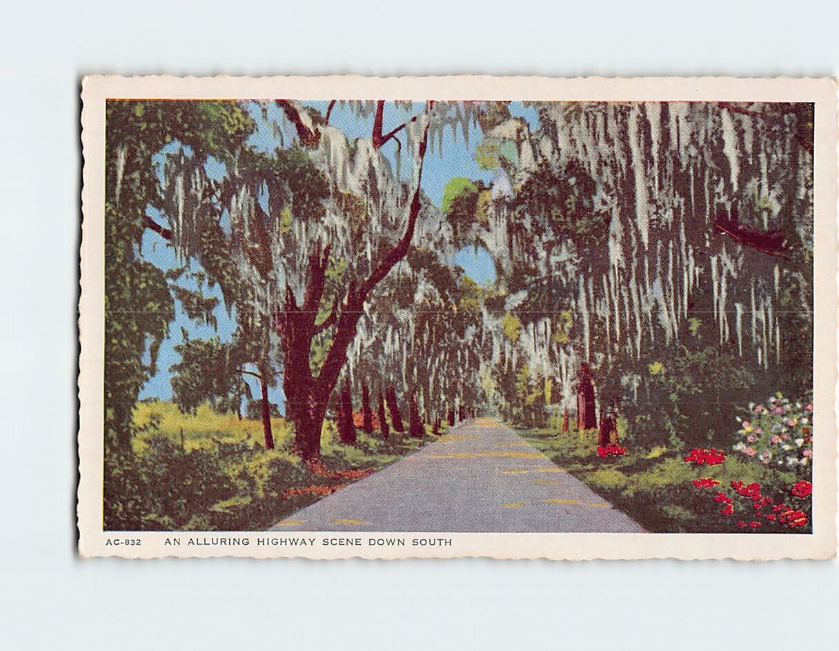 Postcard An Alluring Highway Scene Down South