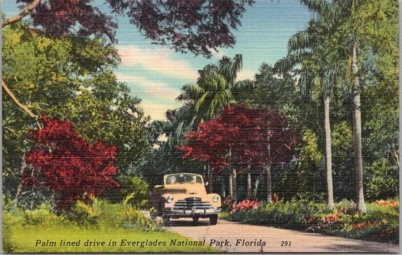 c1940s EVERGLADES NATIONAL PARK Florida Postcard 