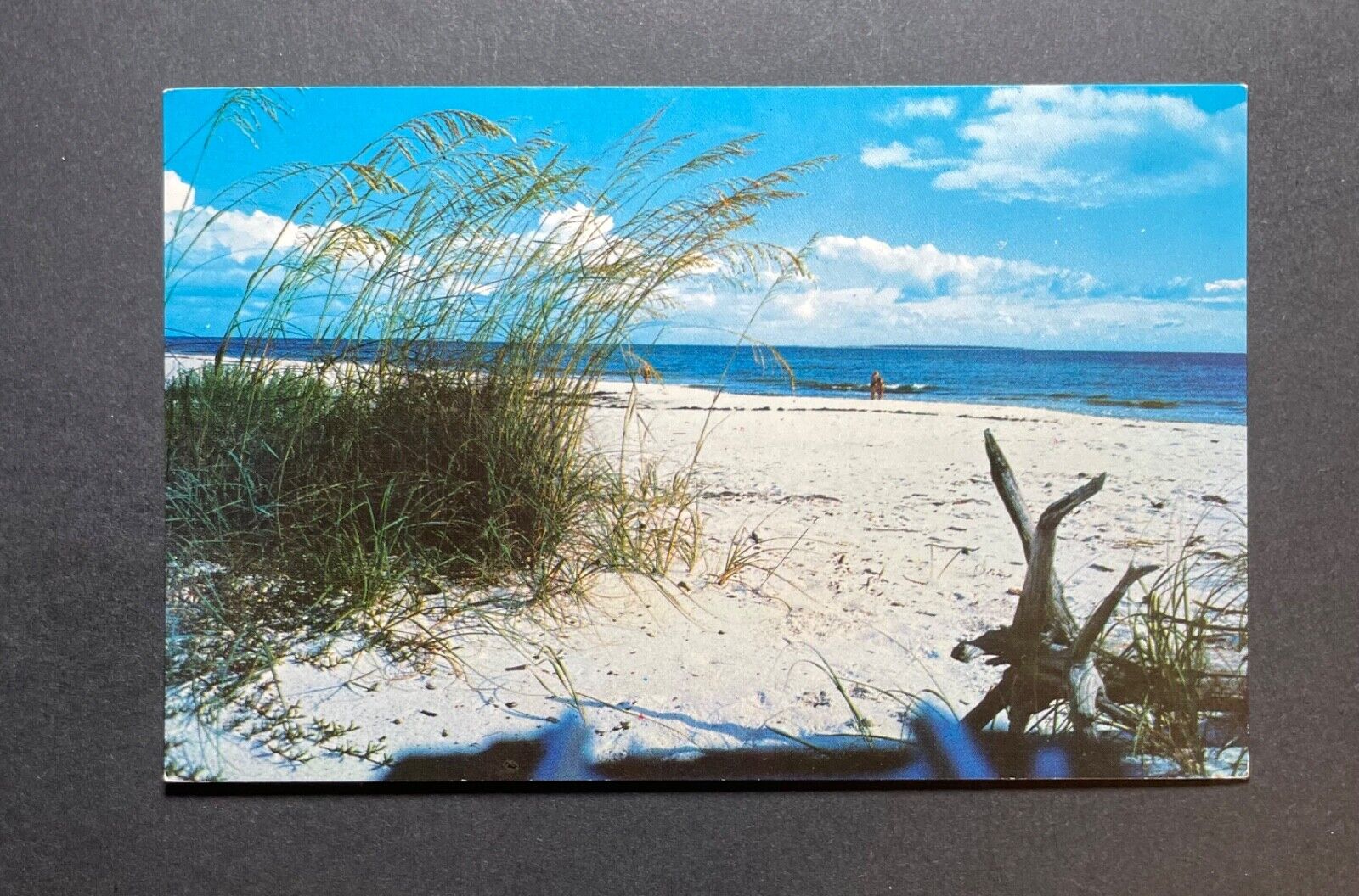 Florida FL Postcard Beautiful White Sandy Beach On Florida Coast
