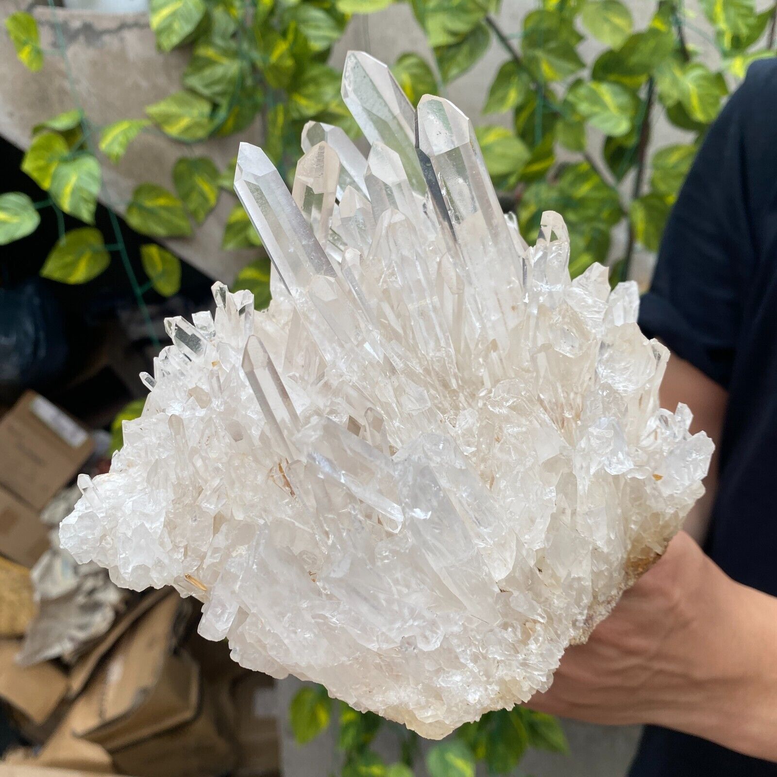 4.6LB Large Natural White Clear Quartz Crystal Cluster Raw Healing Specimen