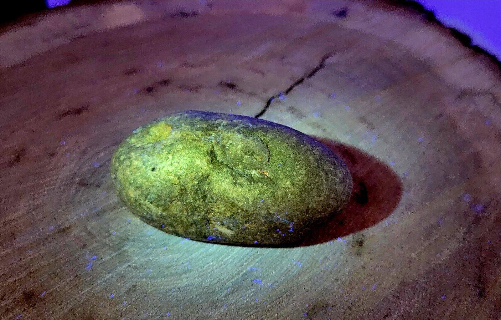 FOSSILIZED DINOSAUR EGG WITH FOSSILIZED EMBRYO - ULTRA RARE.