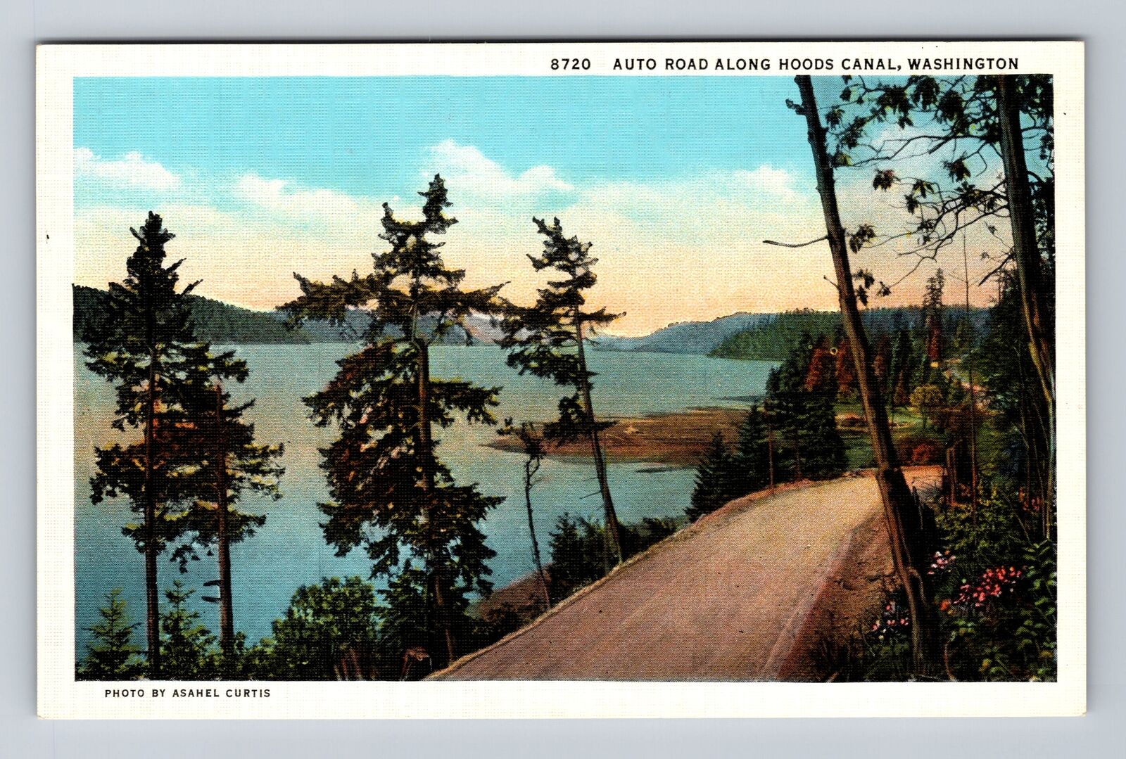 Hoods Canal WA-Washington, Auto Road Along Hoods Canal Vintage Postcard