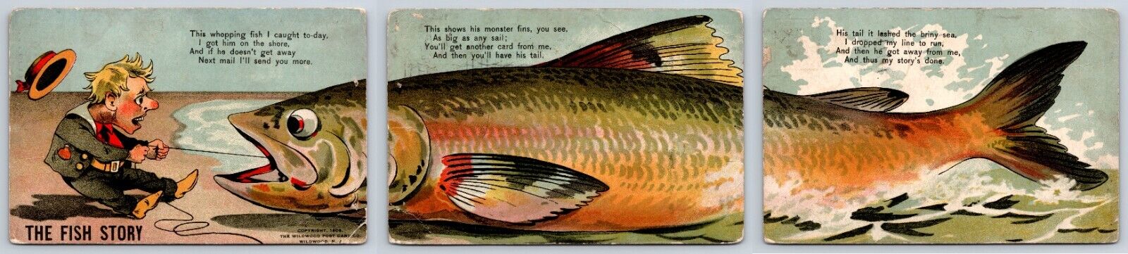 THE FISH STORY 3 Postcards Installment Set Same Sender Wildwood Pub. 1906 AN26