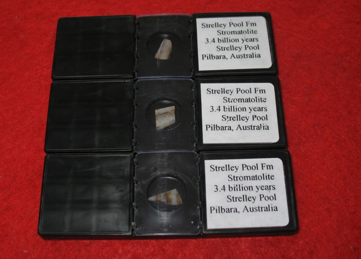 Worlds oldest fossil Strelley Pool Stromatolite Pilbara Australia slide mount sm