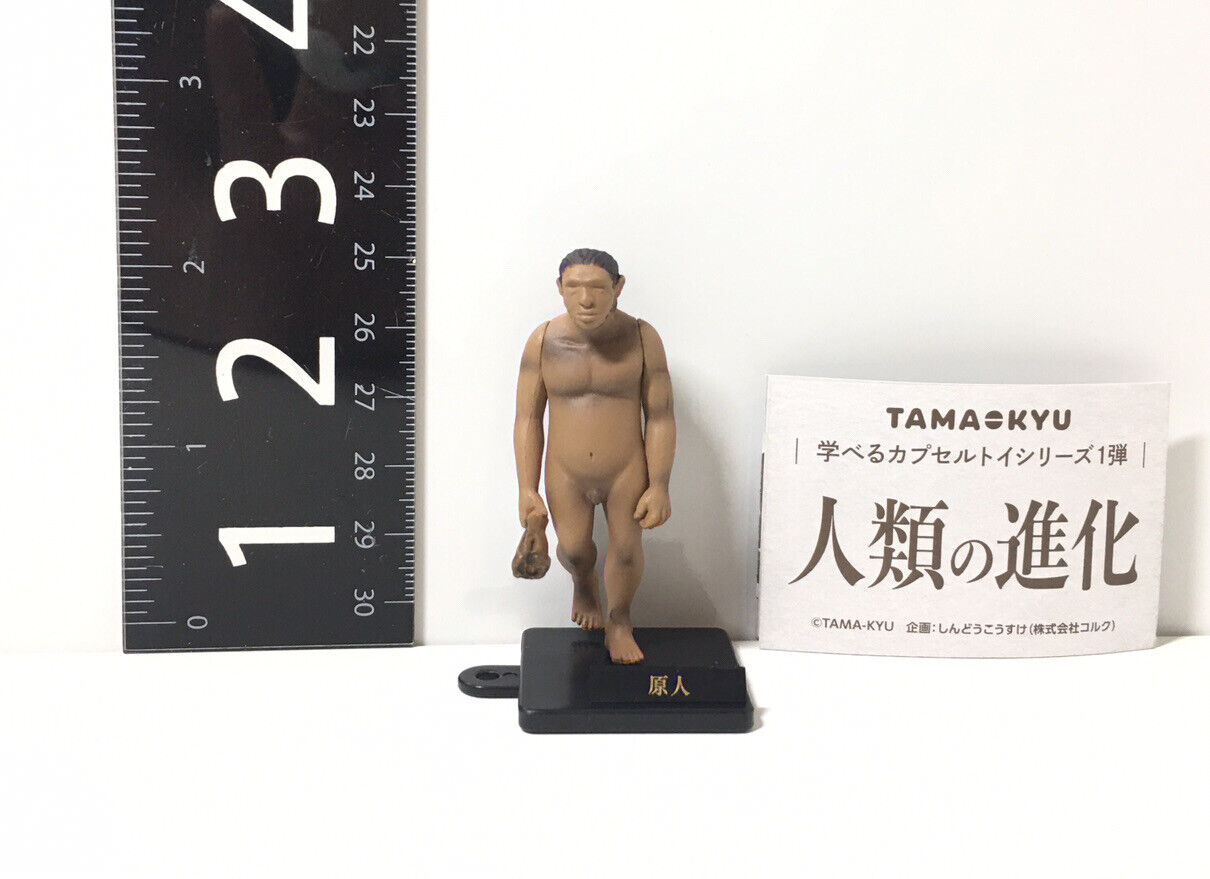 TAMA-KYU Human evolution Mascot Capsule Toy Hominid Gacha Figure