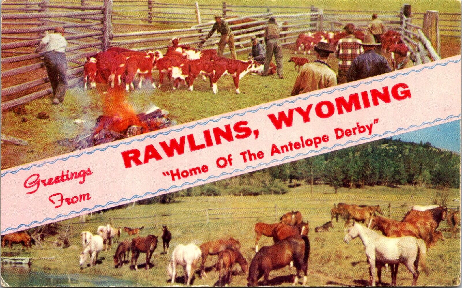 c1960's Greetings From Rawlins Wyoming WY Cowboys Unposted Vintage Postcard
