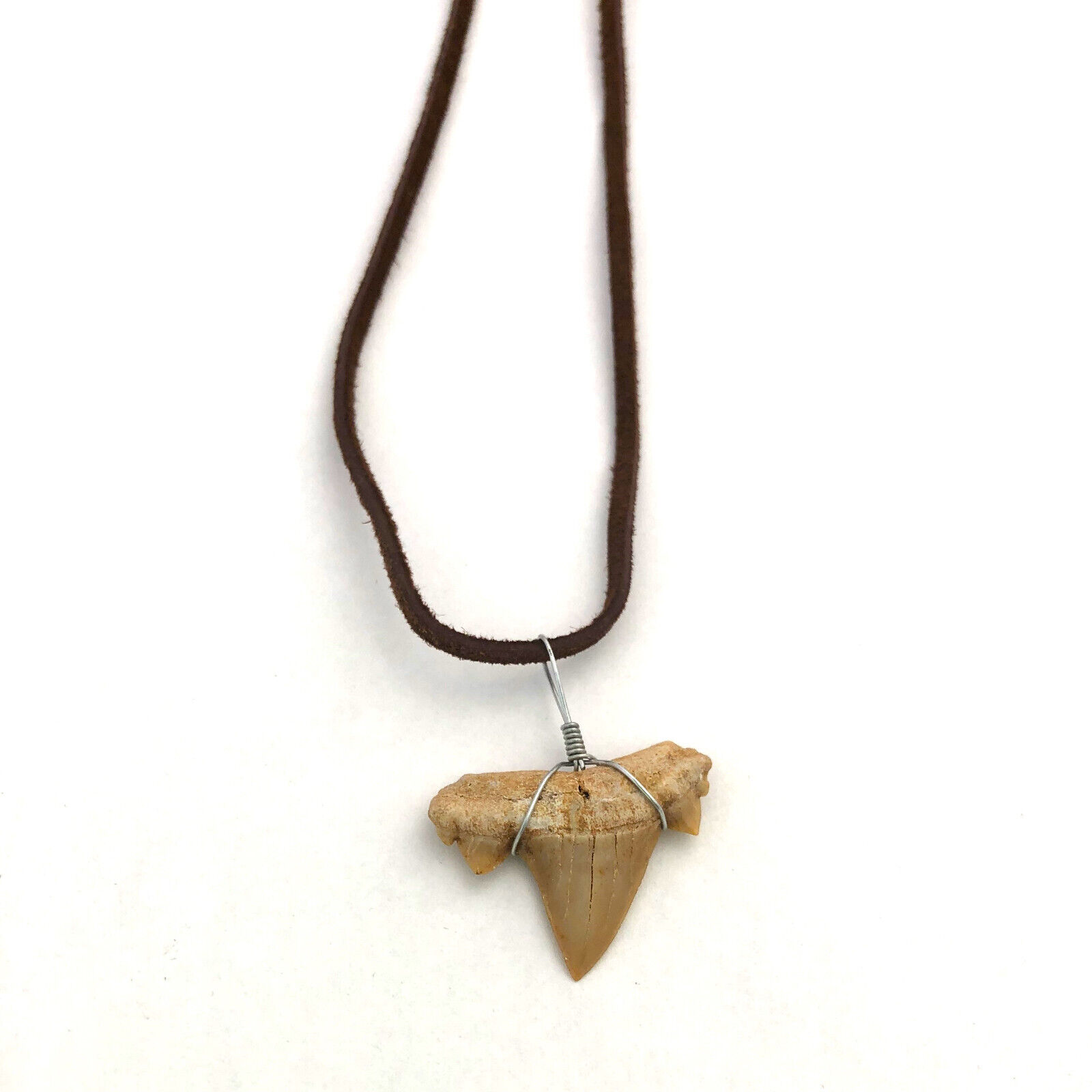 Prehistoric Shark Tooth Necklace Authentic Fossil ¾” to 1” Serratolamna Brown 