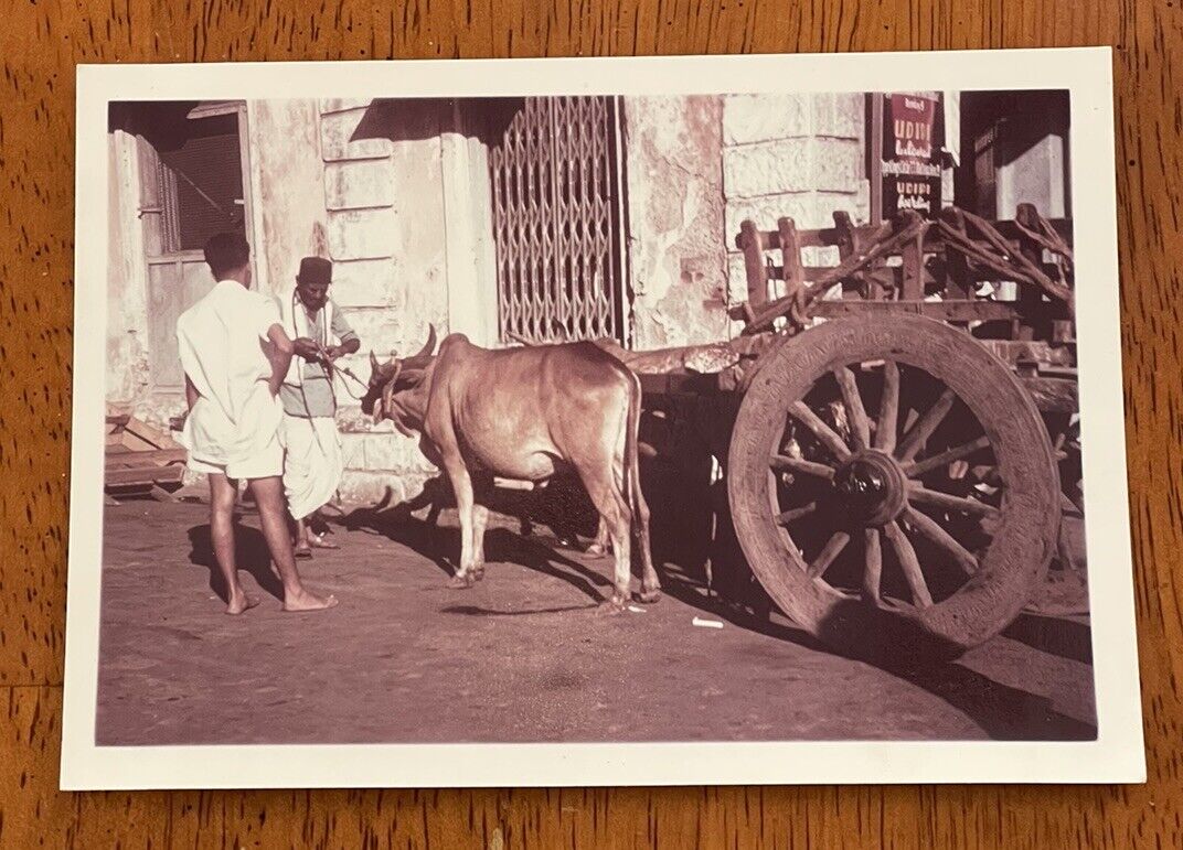 Vintage Photo June 1960 Bombay