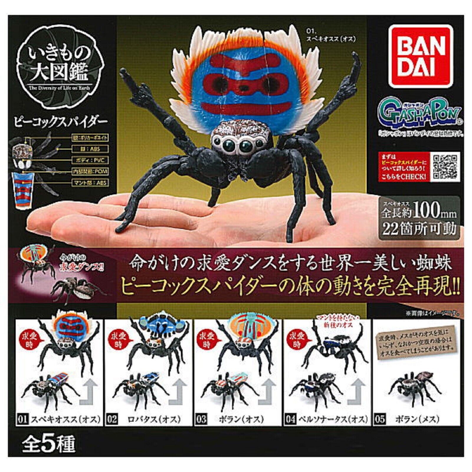 Peacock spider Collection Gacha Capsule Toy 5 Types Set Full Comp Japan Gift