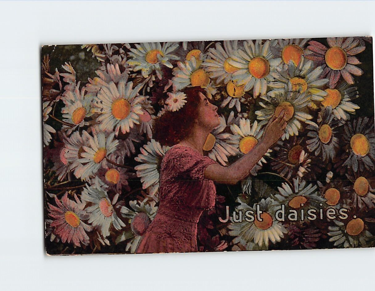 Postcard Just Daisies Woman with Beautiful Daisy Flowers