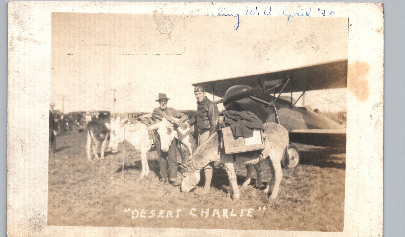 AVIATOR DESERT CHARLIE wheeling wv photo postcard rppc mules airplane walker