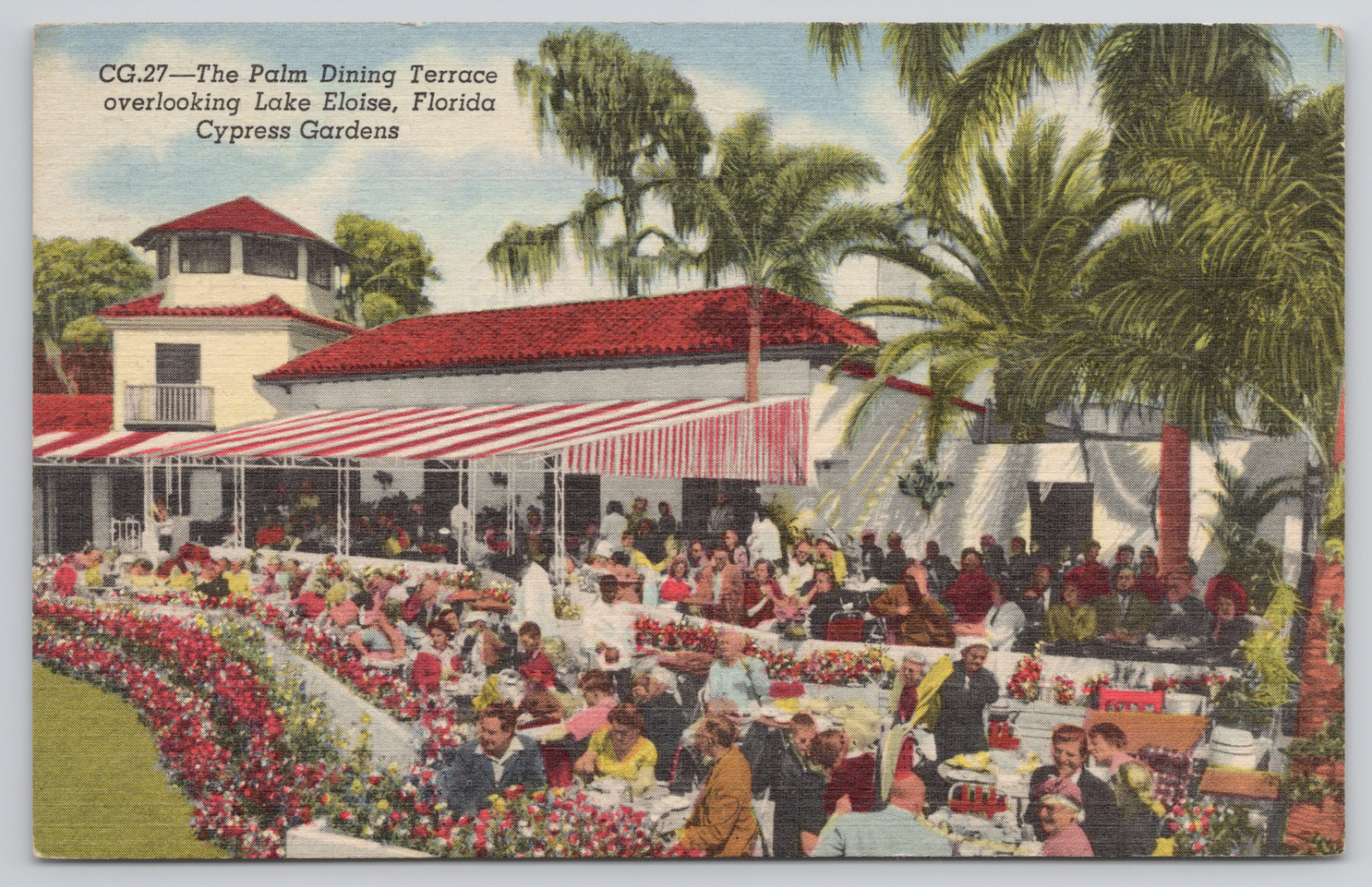 Cypress Gardens Florida Palm Dining Terrace Eloise Post 1955 Linen Postcard