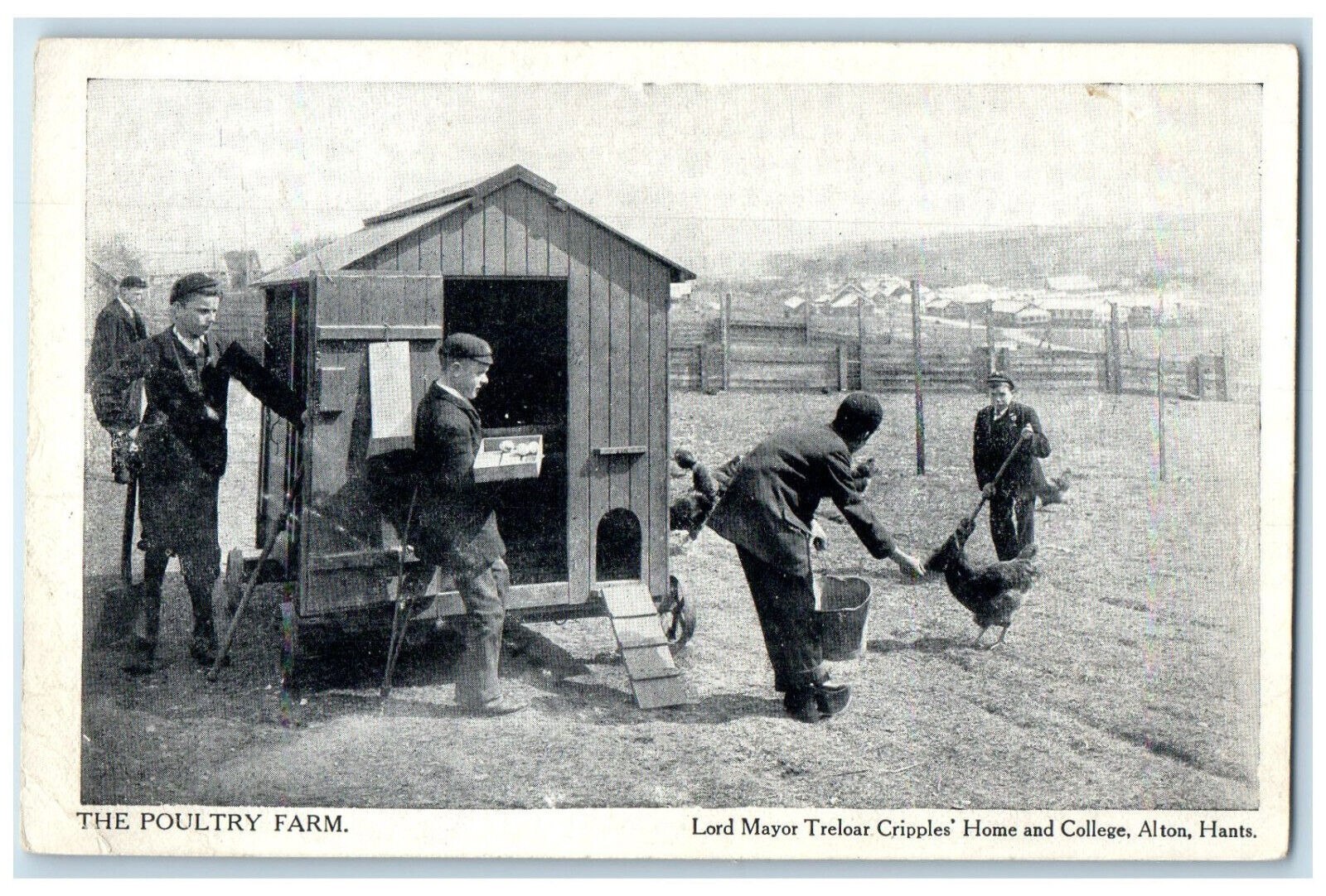 c1940's Poultry Farm Lord Mayor Treloar Cripples Home London England Postcard