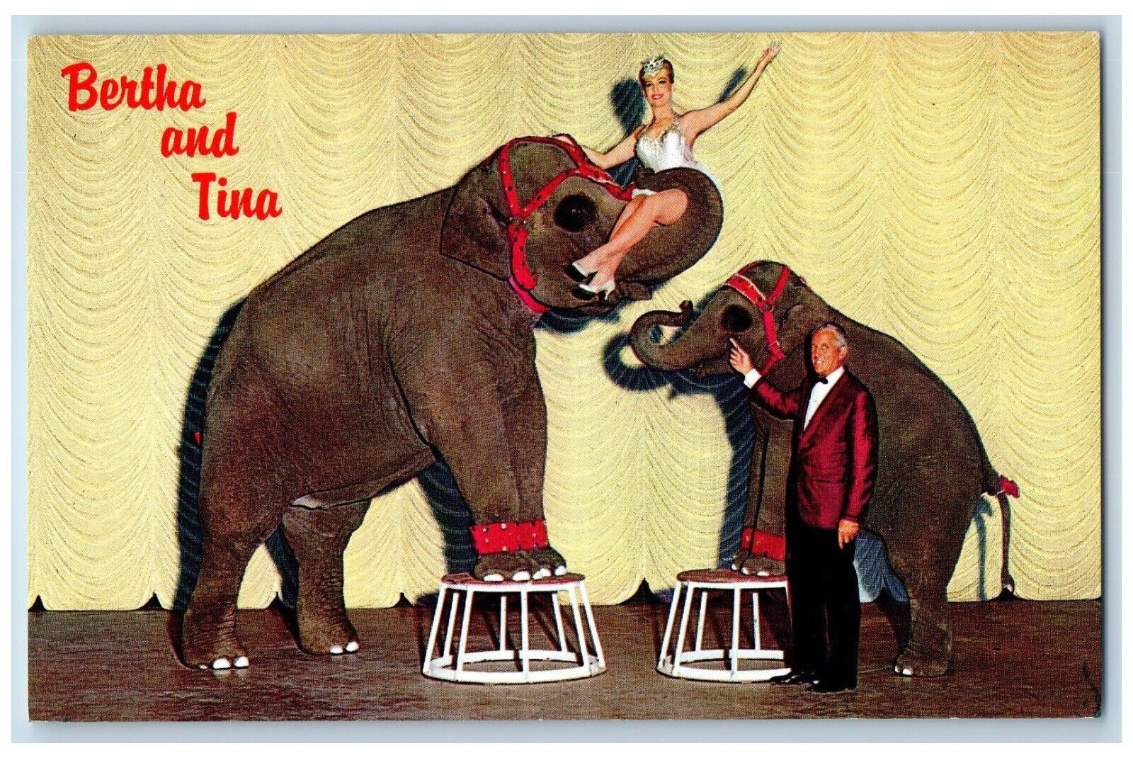 Reno Nevada NV Postcard Bertha & Tina John Nugget Sparks Elephants 1960 Unposted