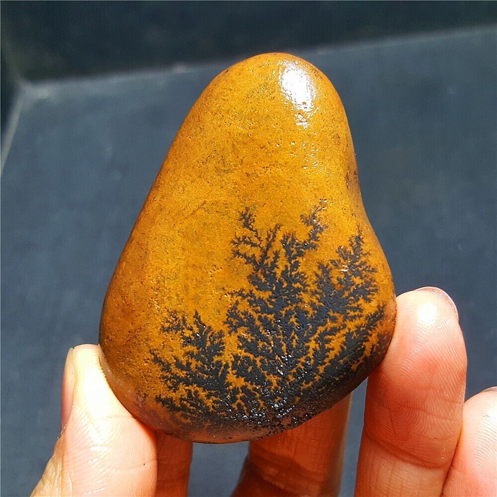 Rare64G Natural Treeline stone Crystal China Mongolia 54A55+