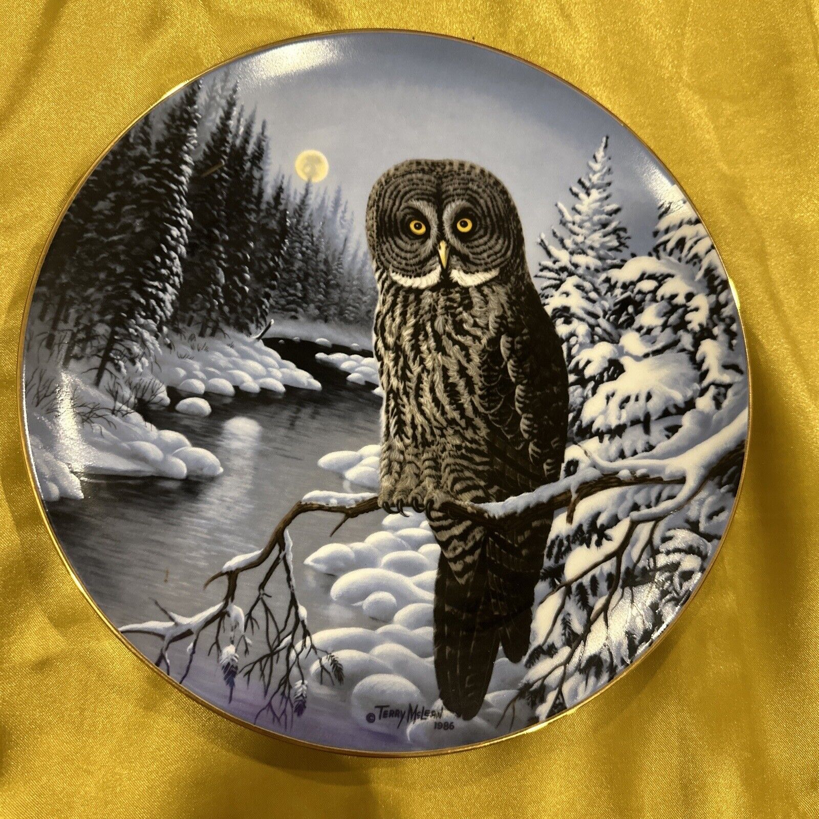RARE Phantom Of The North Manitoba's Great Gray Owl By Terry McLean 4159/5000