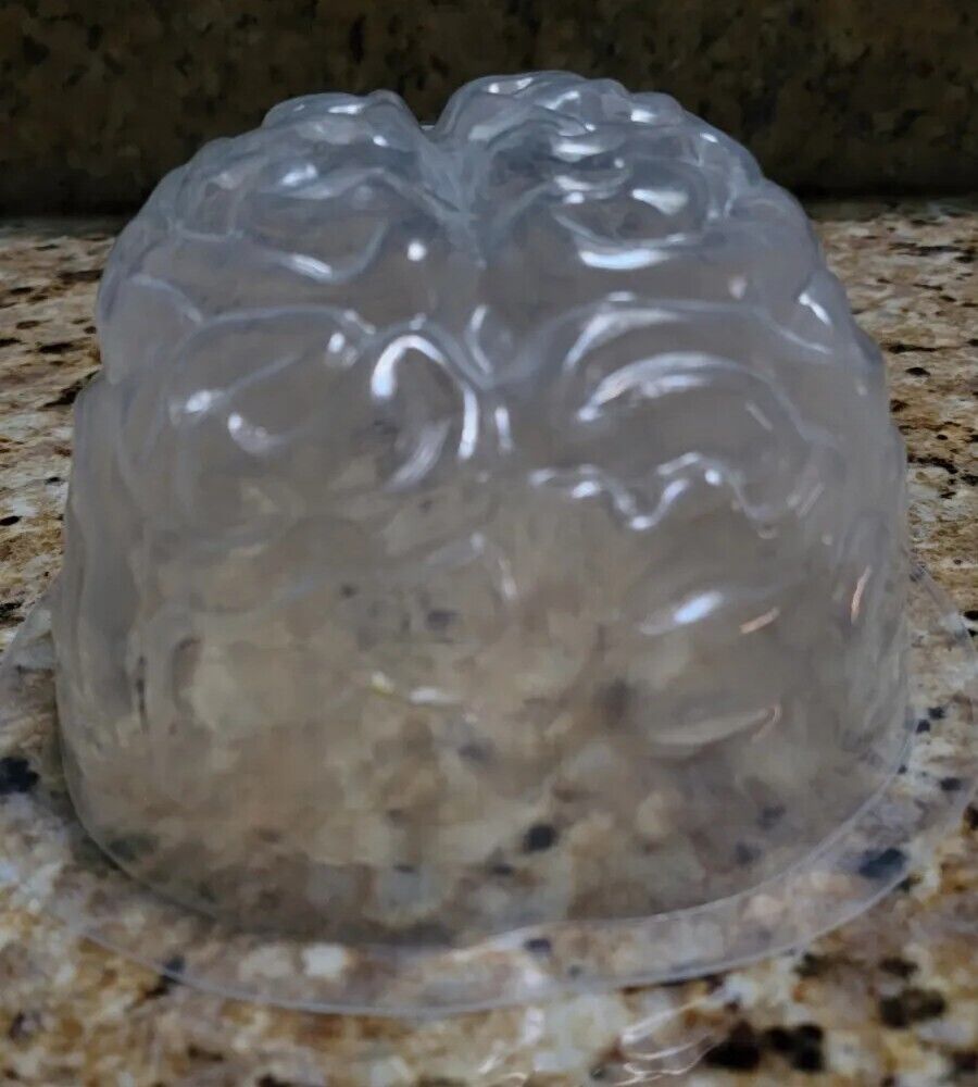Life Size Jello Gelatin Molded Brain Mold Zombie Food Party Halloween EUC 4x7x9
