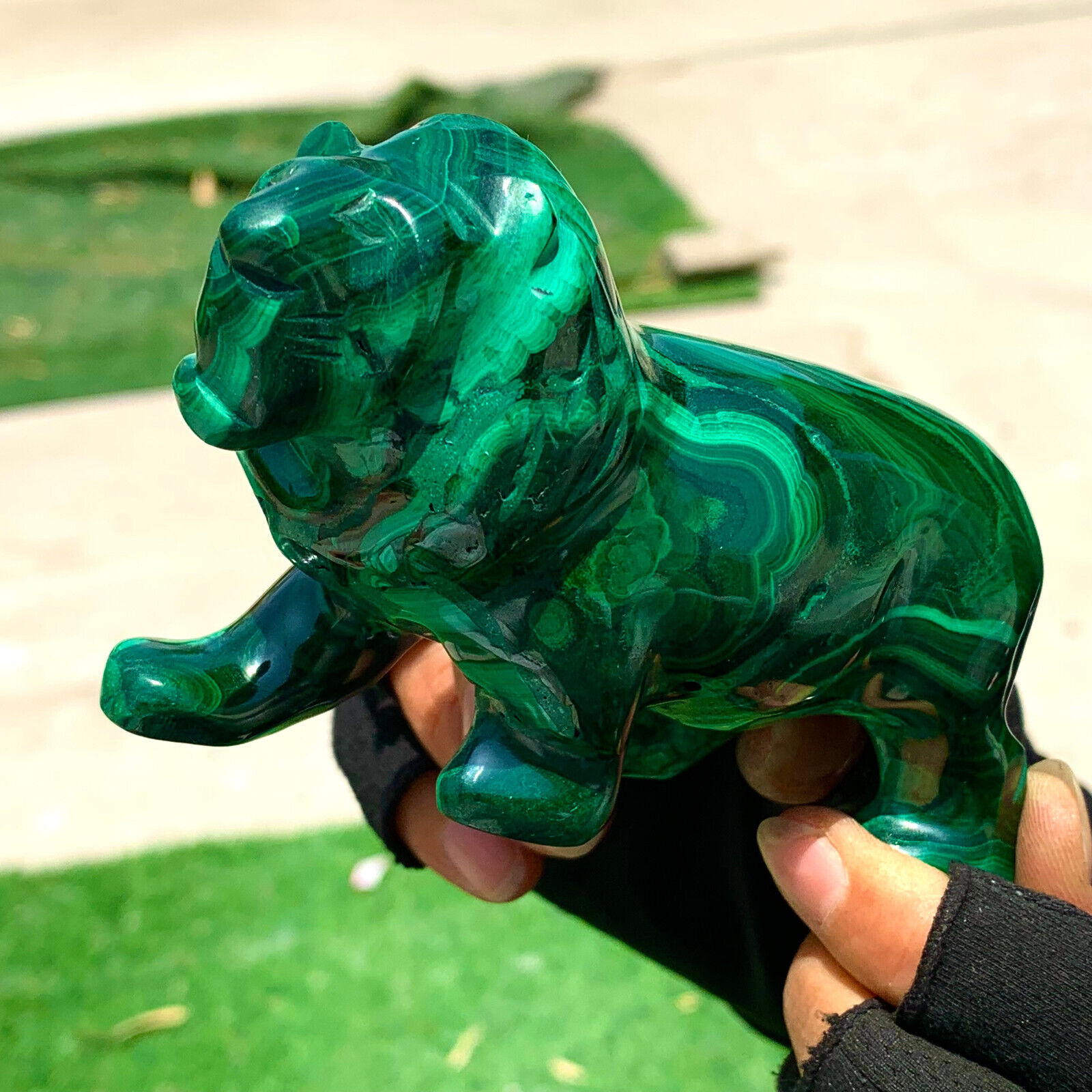 442G Natural glossy Malachite Crystal Hand carved lion mineral sample healing