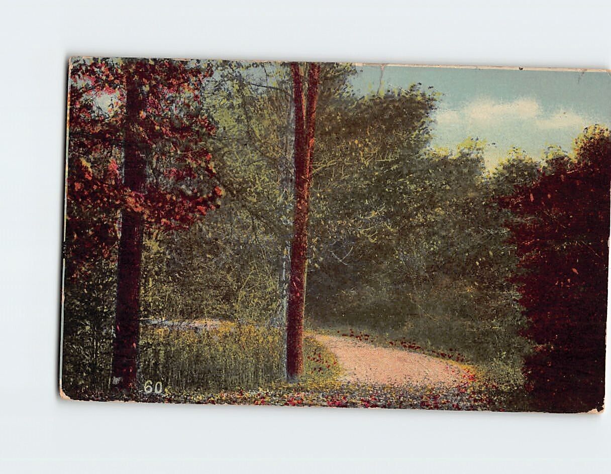 Postcard Forest Pathway Scene