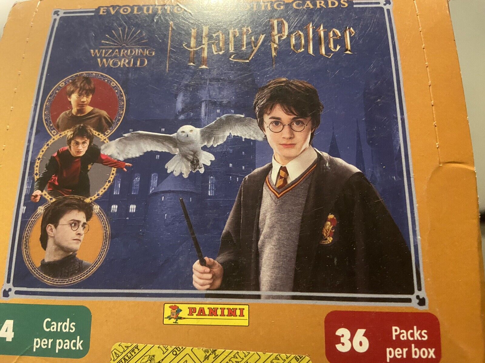 Panini Harry Potter Wizarding World Evolution Card Box ( 36 Packs 144 Cards )