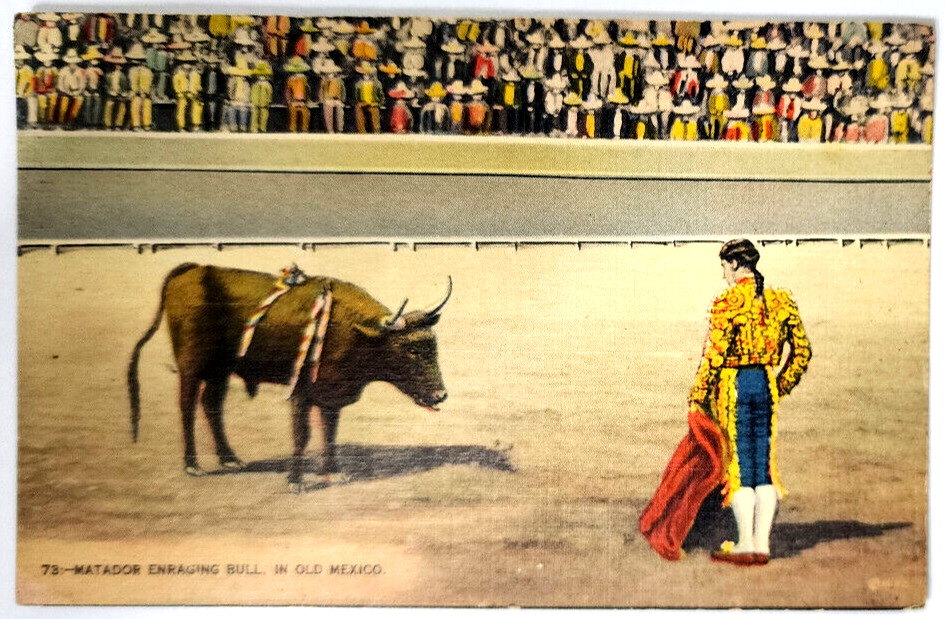 Matador Enraging Bull In Old Mexico 1939