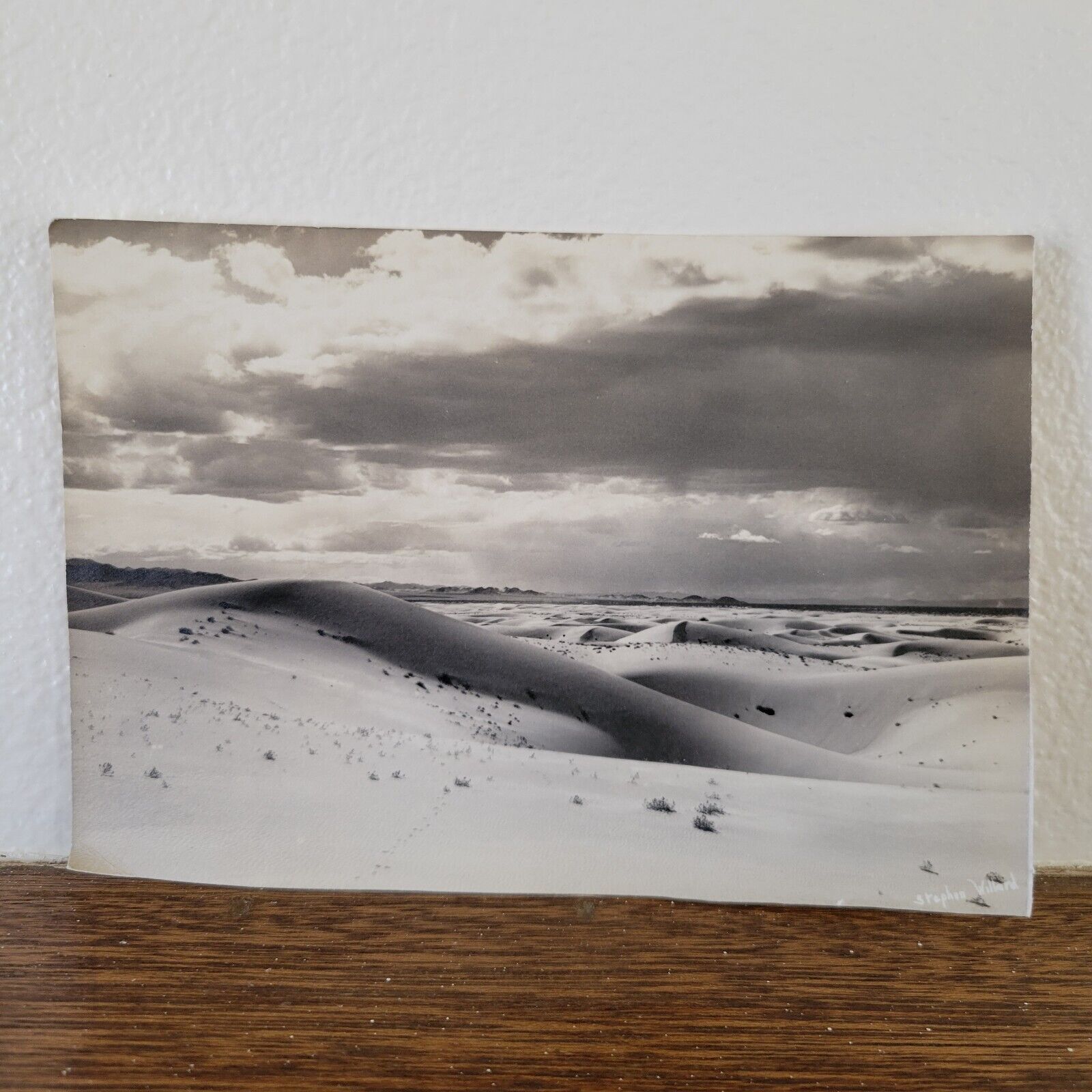 Original 7x5 1920's Stephen H Willard Palm Springs Desert Dunes Photo