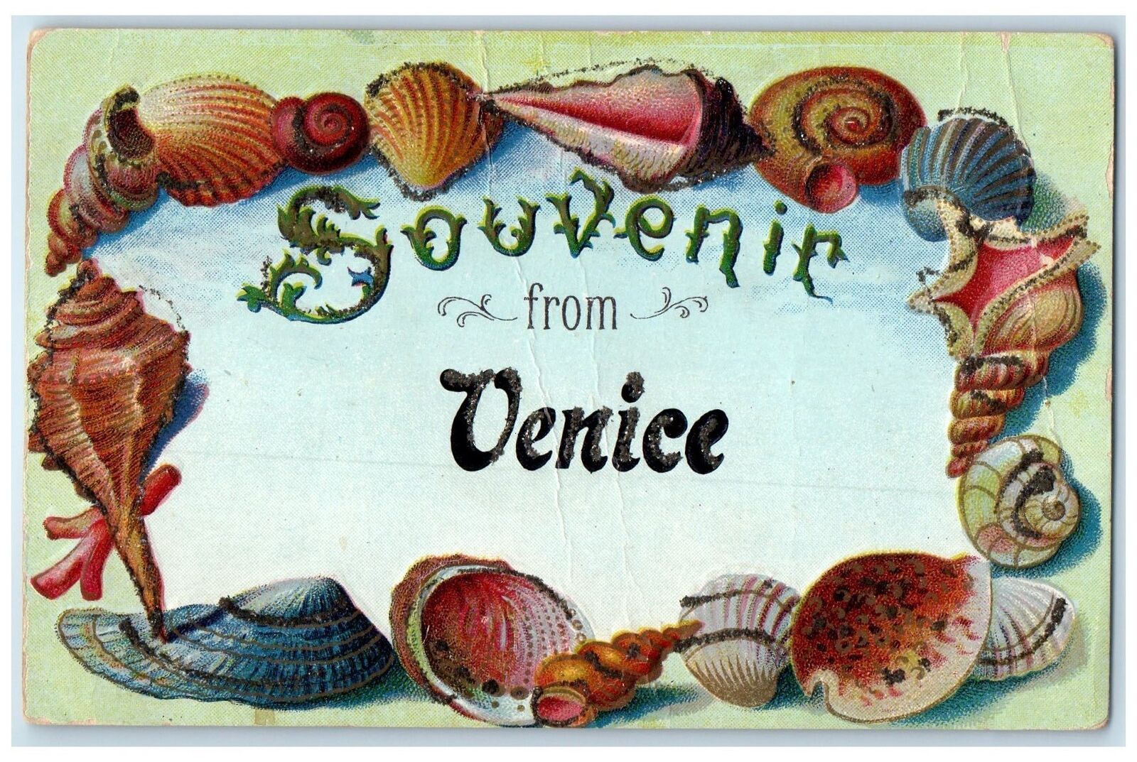 c1910s Souvenir From Venice California Unposted Embossed Big Seashells Postcard