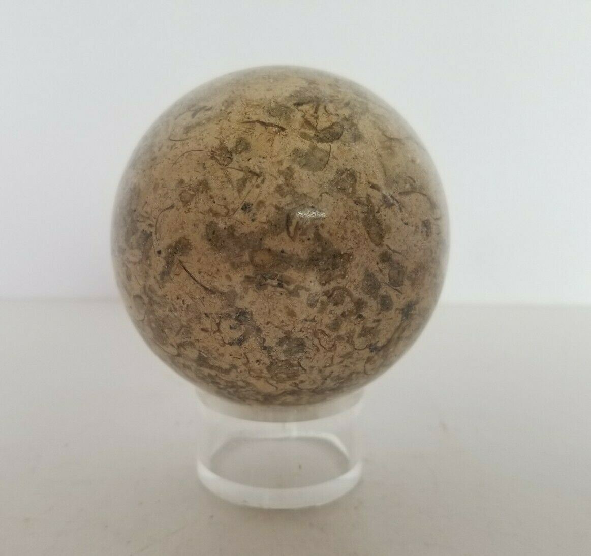 FOSSILIFEROUS Sphere (7.3cm) 2 3/4