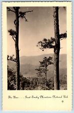 Great Smoky Mountains National Park Tennessee TN Postcard RPPC Photo The Pines picture