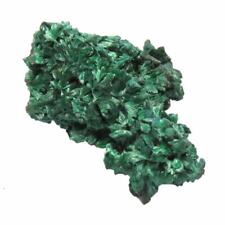 Chatoyant FIBROUS FOREST GREEN MALACHITE  - FROM CONGO AZ117 picture