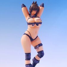ANIME HENTAI Super Robot Cute Sexy Girl Action Figure 25cm PVC Doll Collection picture