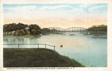 c1920 Junction Chenango Susquehanna Rivers Bridge Binghamton NY P486 picture