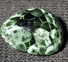 Chlorastrolite Michigan Greenstone rare gem picture