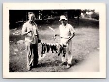 Photography Photo Fishing Stringer Full Caught Fish Snapshot picture