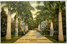 Beautiful Residential Palm Pathway Miami Florida FL DC 23 Linen 1945 Postcard picture