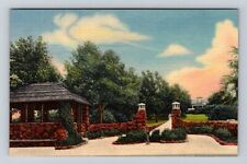 Boulder CO-Colorado, Chautauqua Grounds, Antique, Vintage Souvenir Postcard picture