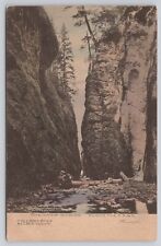 1911 Oregon Columbia River Scenes Oneonta Gorge Hand-Colored Albertype Postcard picture