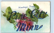Pine City Minnesota MN Postcard Greetings Flowers Glitter 1910 Vintage Antique picture