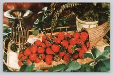 Postcard Strawberry Country Florida picture