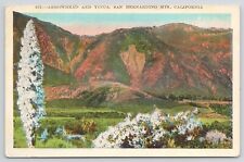 San Bernardino Mountains CA Arrowhead and Yucca 1929 White Border Postcard picture
