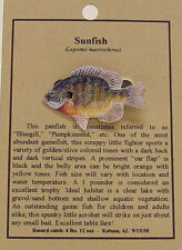 NEW SUNFISH FISH HAT PIN LAPEL PINS picture