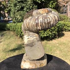 6.24LB  Large Natural Beautiful ammonite fossil conch Crystal specimen Healing picture
