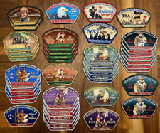 Large Collection of Glacier's Edge Council CSP Patches Wisconsin Boy Scouts WI picture