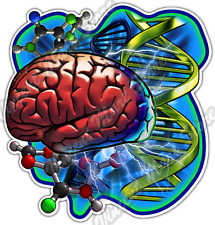 DNA Brain Cells Science Genetics School Car Bumper Vinyl Sticker Decal 4.6